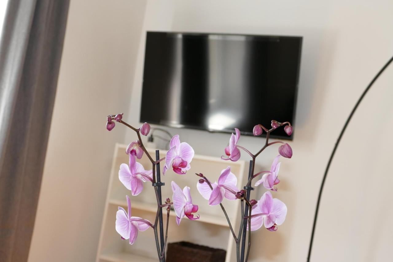 Stylish City Apartments וינה מראה חיצוני תמונה